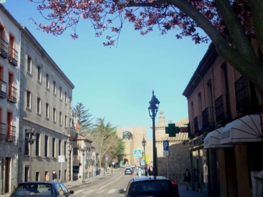 Appartement Albatros
